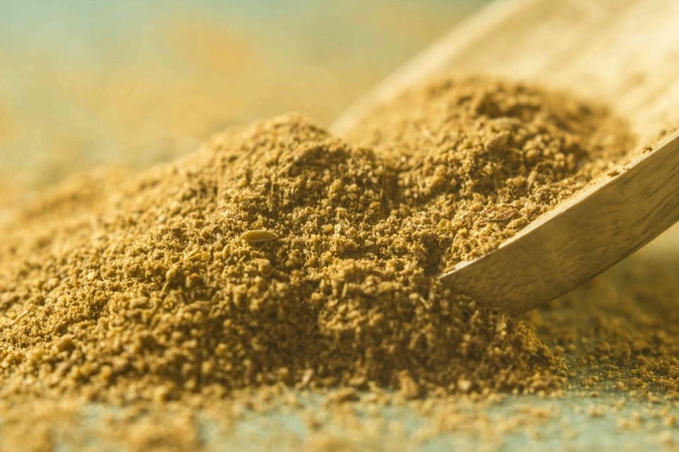 Cumin Powder 100g